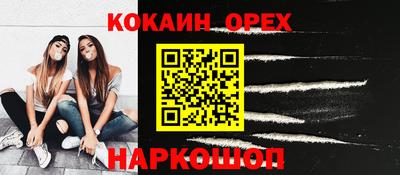СК Новозыбков