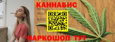 СК Новозыбков