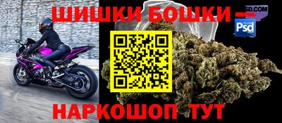 ECSTASY Новодвинск