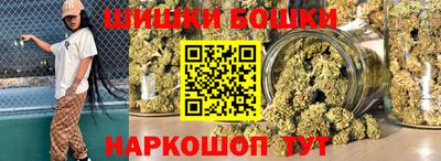 СК Новозыбков