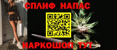 СК Новозыбков