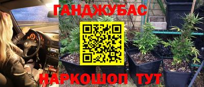 СК Новозыбков
