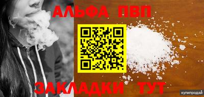СК Новозыбков