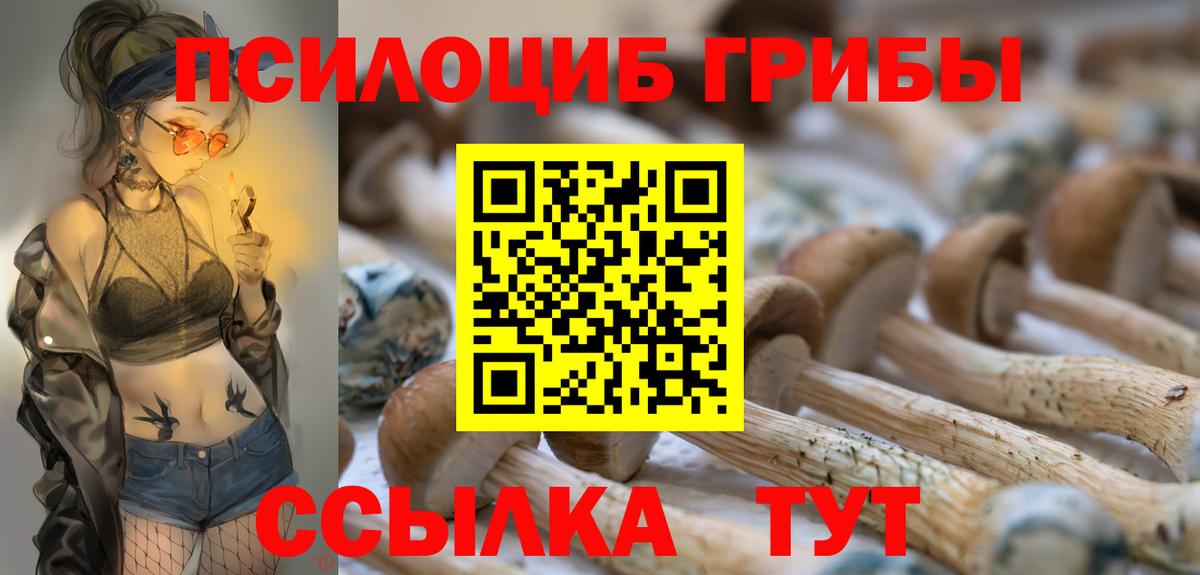 Урус-Мартан  Псилоцибиновые грибы мухоморы  Галлюциногенные грибы MAGIC MUSHROOMS  Вход с VPN 